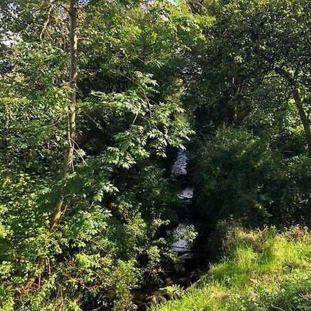 Вілла A View Of The Glens Martinstown Екстер'єр фото