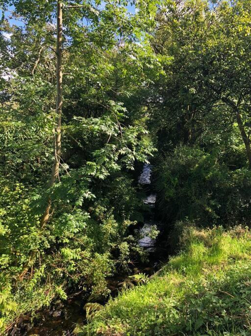 Вілла A View Of The Glens Martinstown Екстер'єр фото